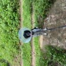 안정현동물병원 이미지