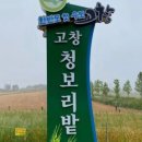 고창심원풍천장어 이미지