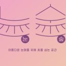 눈숲