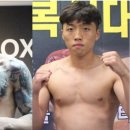 원킬복싱 이미지