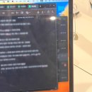대기업 현직자에게 자소서 피드백 받는 법 ✍🏻 :: 사람인 멘토링 매치 데이 후기 ( 카카오・ 컬리・ 쏘카)