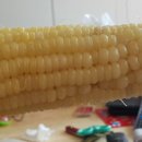 우람농장 네이버블로그
