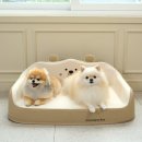 코코환경 이미지