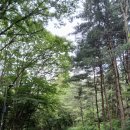 열정국밥 과천점 | 청계산 과천매봉 이수봉 등산 일지