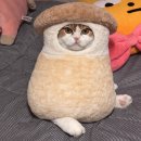 예진자동차 | ~2026년 1월 12일까지의 일상을 읽어보아요