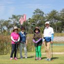 강원파크 이미지