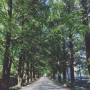 담양여인숙 이미지