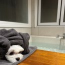 위클라드 자쿠지 펜션 이미지