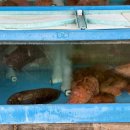 울진건어물 | 맛따라 맛따라 울진 여행