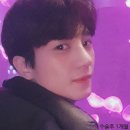 안코비어 이미지