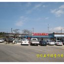 정자나무횟집