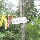안촌가든 네이버블로그