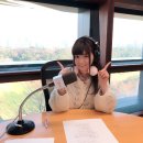 닥터 스와인
