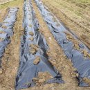 경한농장 이미지