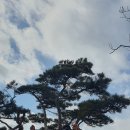 팔공산맥
