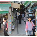 사구보세 이미지