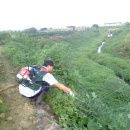 봉일천4리 이미지