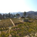 부장목장 이미지