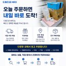 드림디포화성