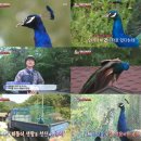 공이농장 티브이데일리