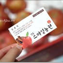 맛있는사과, 영주 스마일농원 사과 시식기