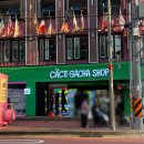 짱인형shop 이미지