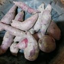 시티이용소