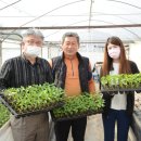 한들농장 이미지