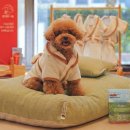 신화로R 이미지