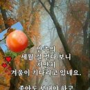 광탄농장 Daum카페