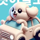 강아지 이발소 이미지