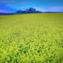 은명농장 이미지