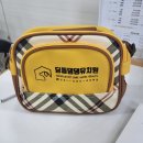 딩동댕댕 애견유치원 이미지