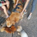 월드컵서로R 이미지