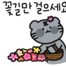 효성1차현대아파트 이미지