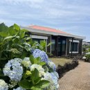 제주독채펜션돌담감성숙소밭담점 | 아이와 함께 하기 좋았던 제주도독채펜션 돌담감성숙소 밭담점 후기