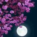 (주)도가
