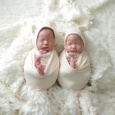 서둥이 본아트 촬영 후기:) 집으로 출장 와서 찍은 감성 가득 신생아 사진 '헤이든스튜디오 서구점'