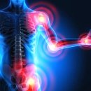 가자크린팜대학약국 이미지