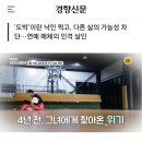 걸그룹 SES 전 멤버 슈에 대한 악의적 기사들은 어떻게 혐오의 판을 까는가 이미지