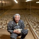 일근농장 이미지