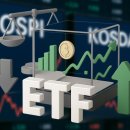 폭락장 겪었어도… 올 최고 수익 자산은‘코스피200 ETF’ 이미지