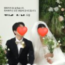 [아이폰 스냅 추천] 정성을 담은 아이폰 본식+서브스냅 후기 “아카이브99”
