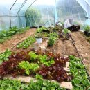 시냇가펜션 이미지