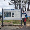 장흥 산벚나무길 | [공지] 남파랑길 80코스 트레킹 (전남 장흥, 강진)