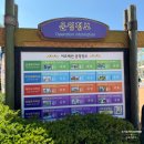 리버쎌 | 김해 롯데워터파크 놀이기구 추천, 이용꿀팁