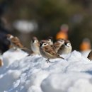 조이월드 이미지