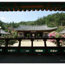 임고면-선원리-28