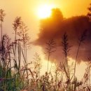 대해로 3 이미지