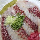 노량진수산시장 충남상회 봄 도다리 숭어 회포장 후기